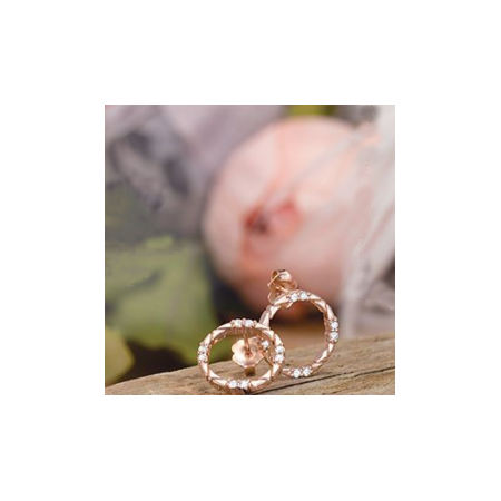 LG Diamond Circle Earrings-1